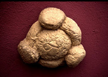 Dali-Museum-Figueres-Bread-2.jpg